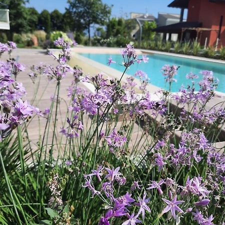 Appartamenti Villa Gloria Peschiera del Garda Bagian luar foto
